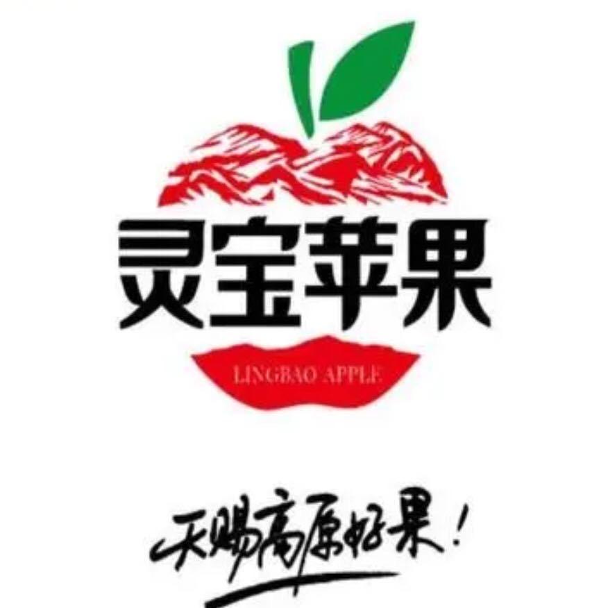灵宝寺河山毛毛果园