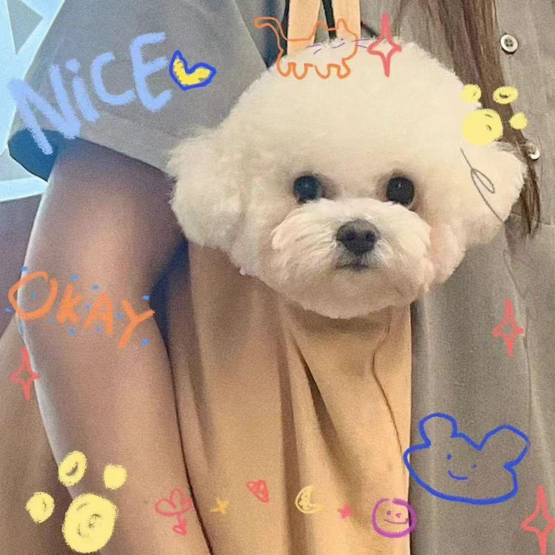 摇粒绒Nikki