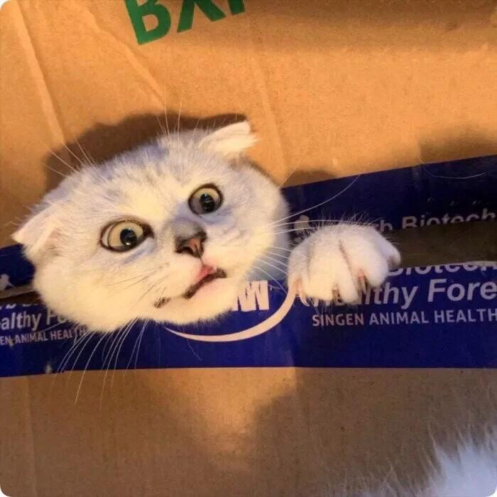 怎么说