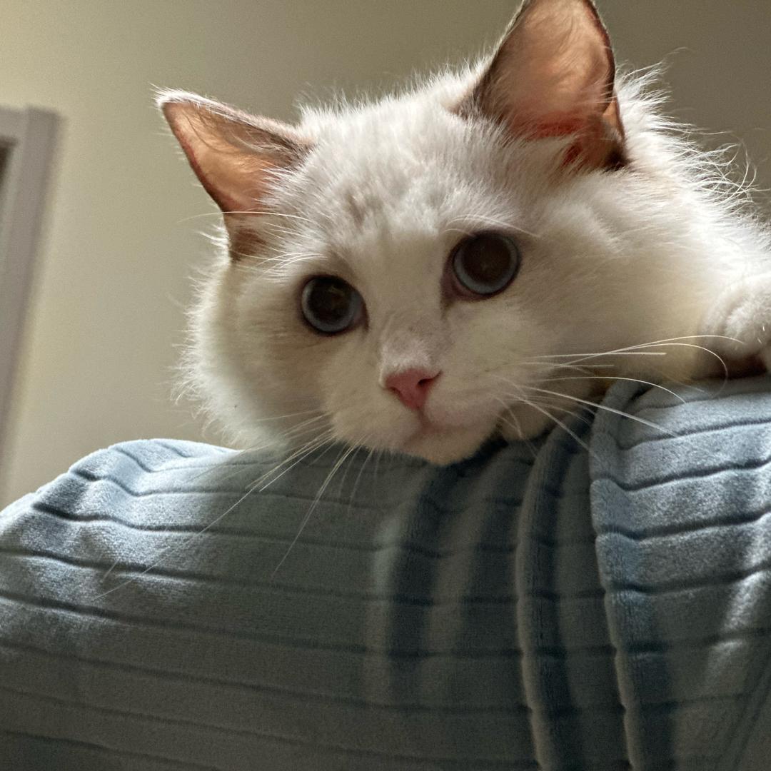 泥萌不要再打啦