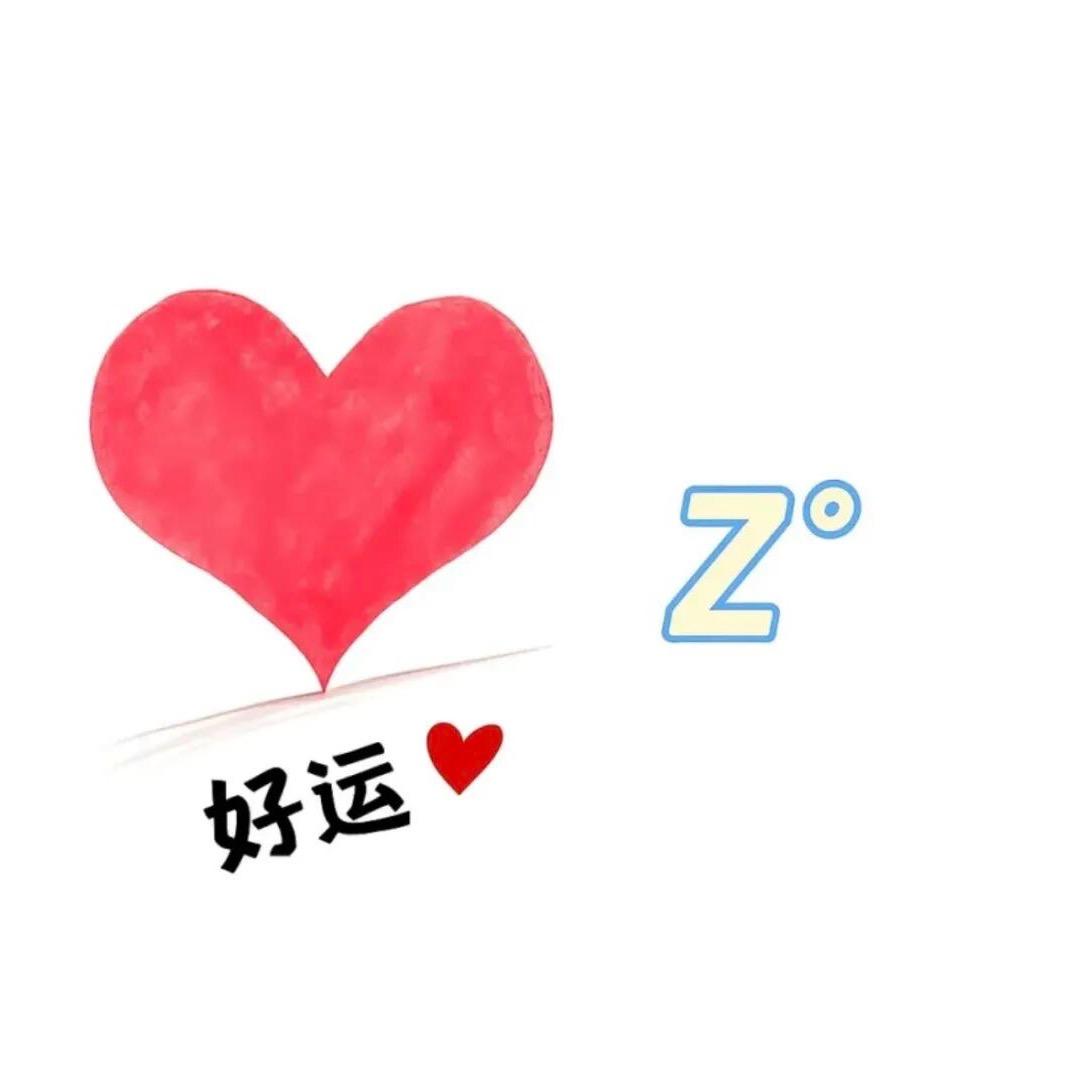 ZY～