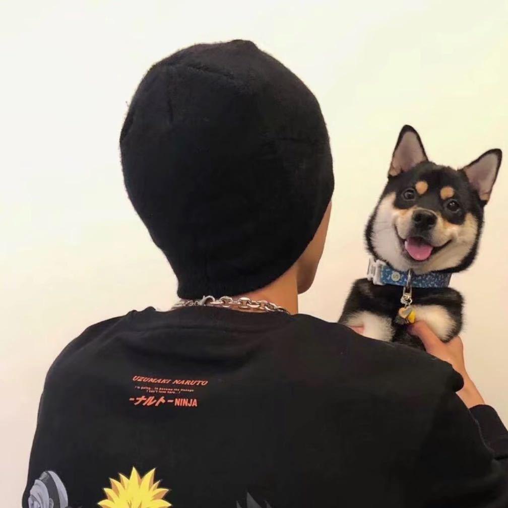 朱子学