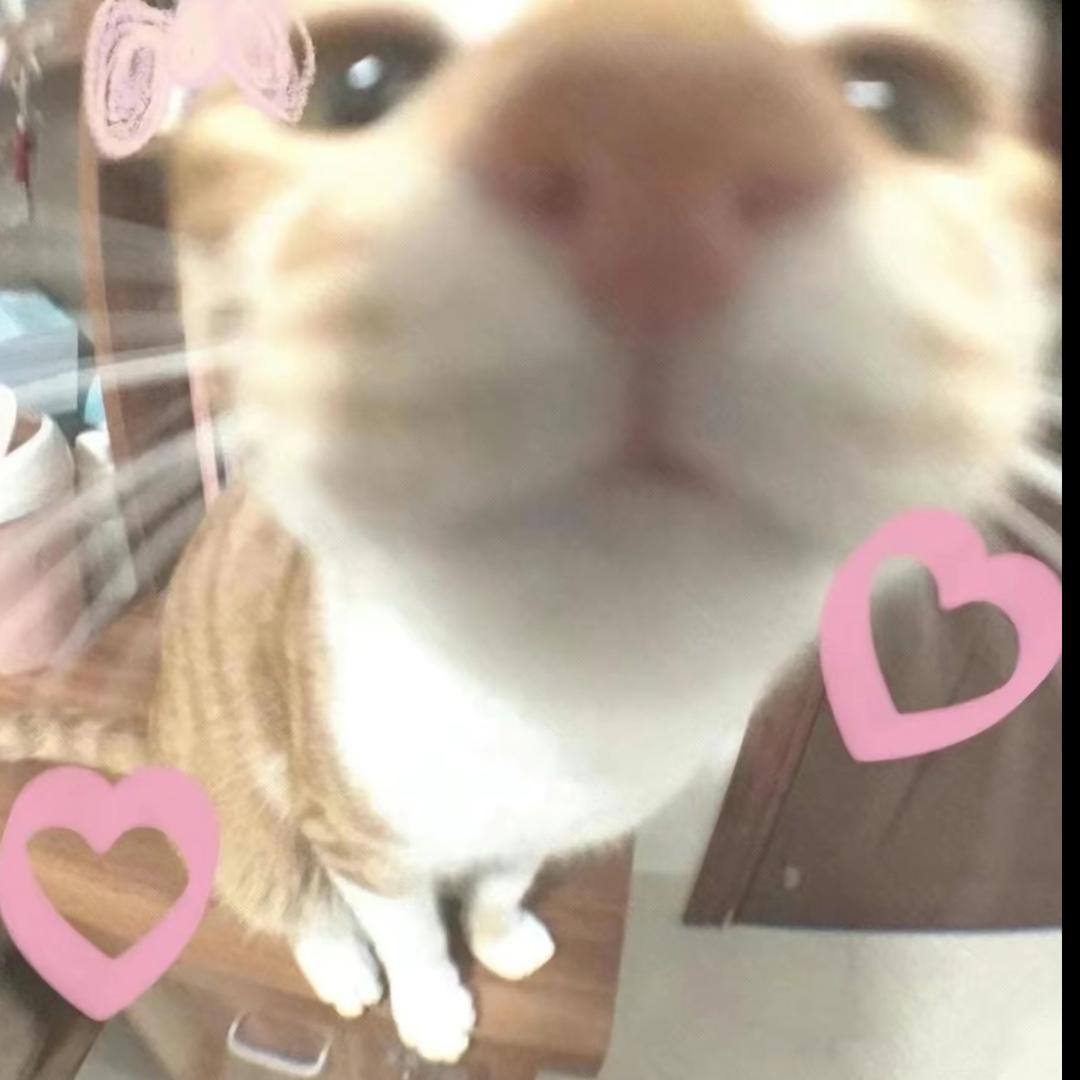 重生之翔霖再爱我一次