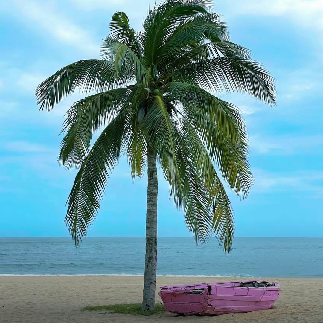 海南团团