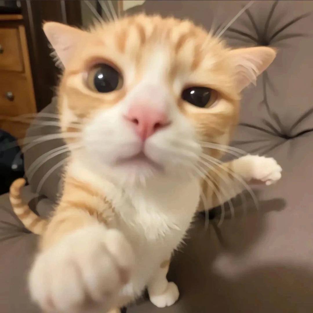 四川省厅认证深情.