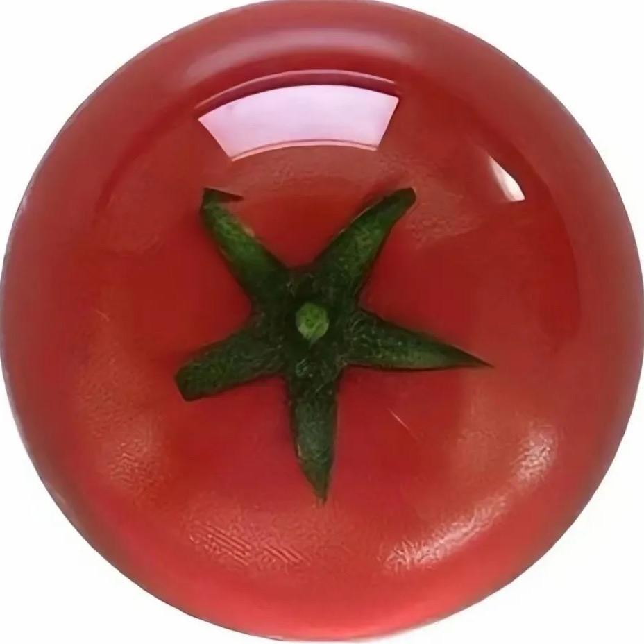 关你西红杮🍅
