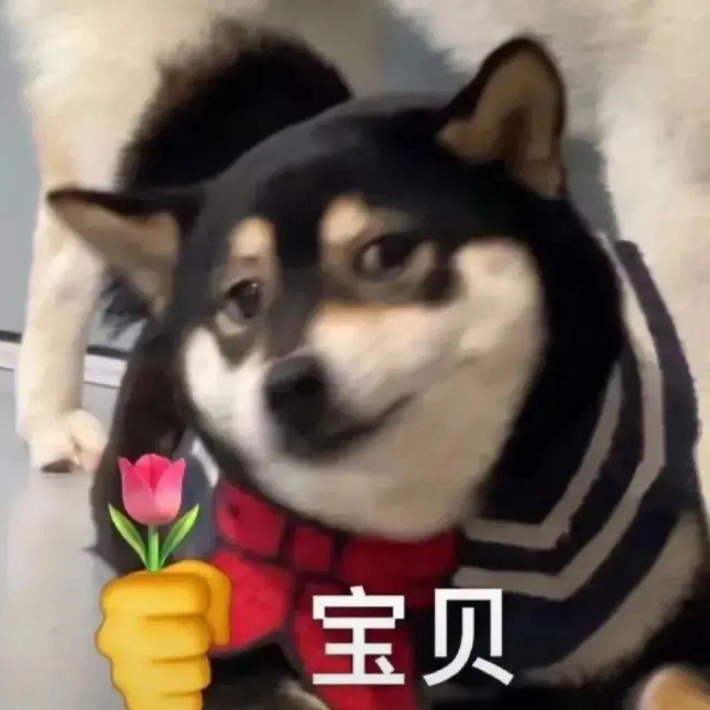脸脸吴所谓