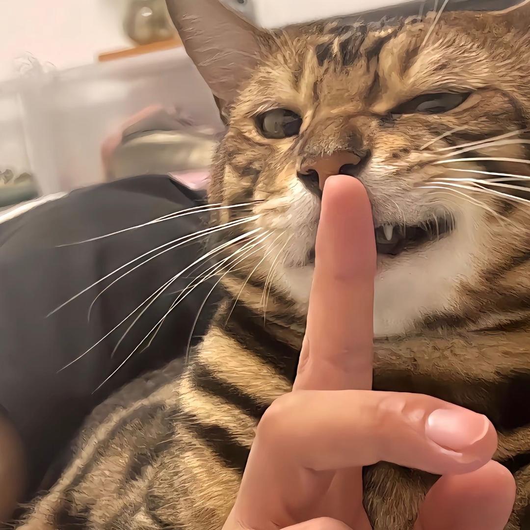 梦想是早日退休