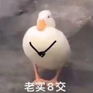 不许看不许看