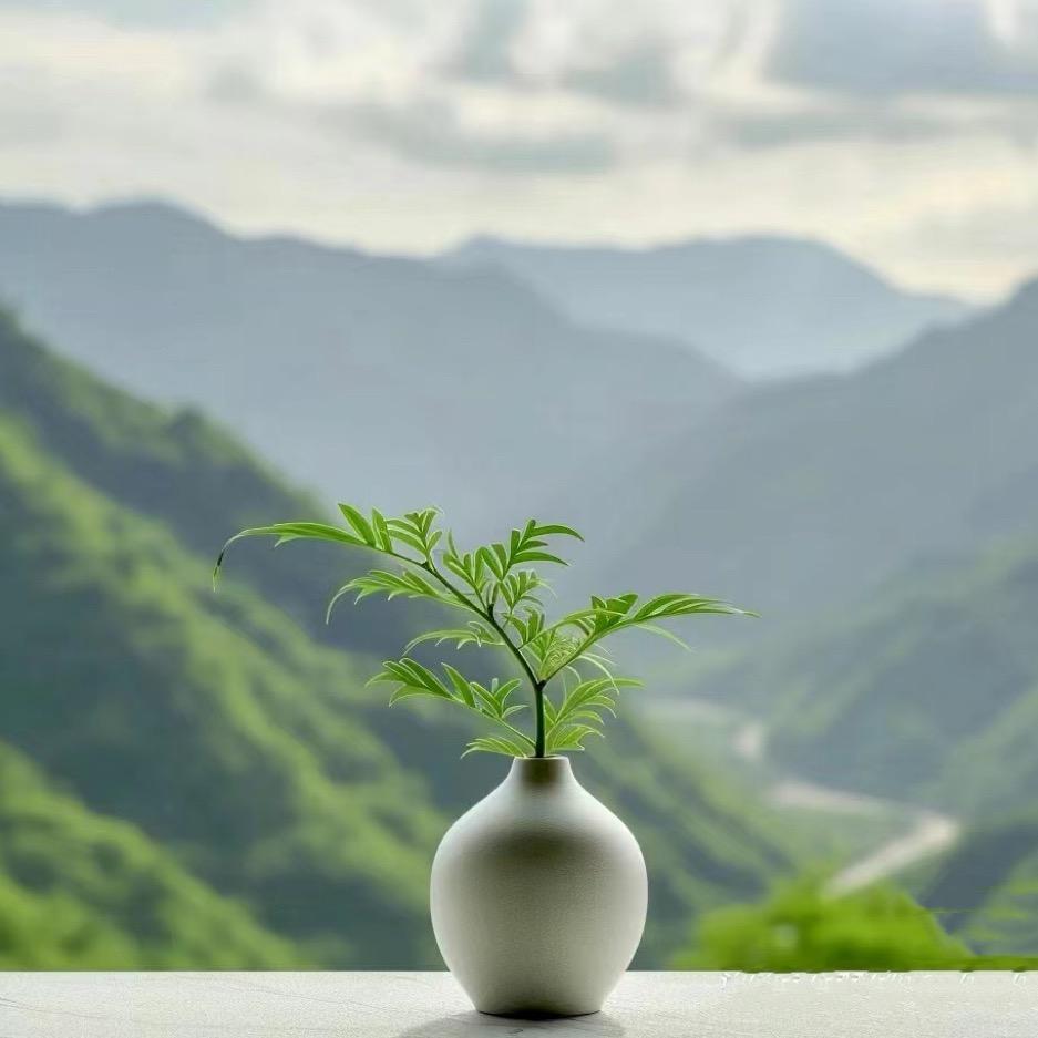 圣喻