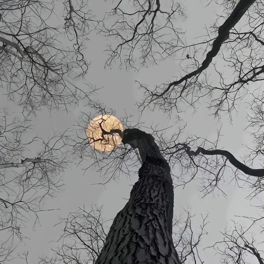 智领未来