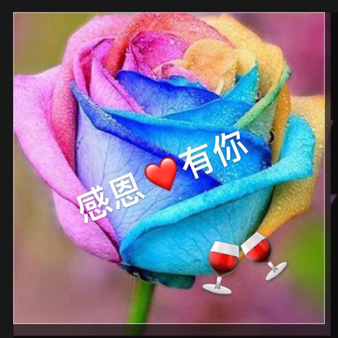 🌈玫瑰之恋🌹（靜养）