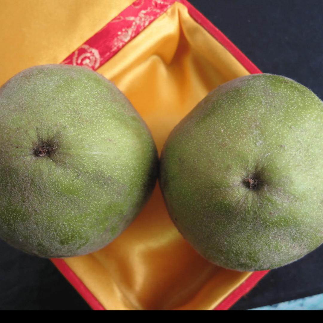 黑白文玩青皮核桃