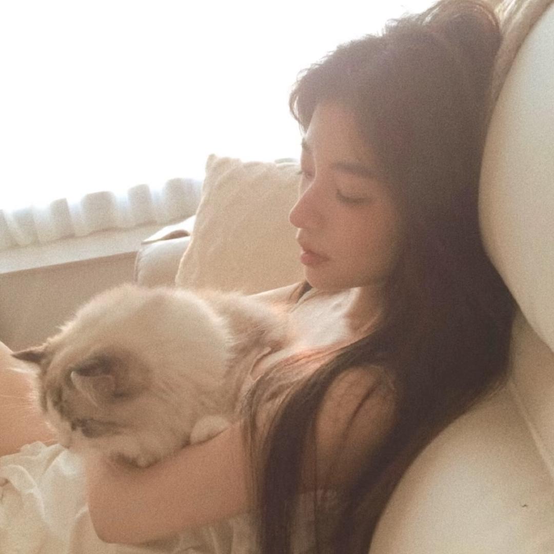 ㅤㅤㅤㅤㅤㅤㅤㅤ𝓑𝓪𝓫𝔂