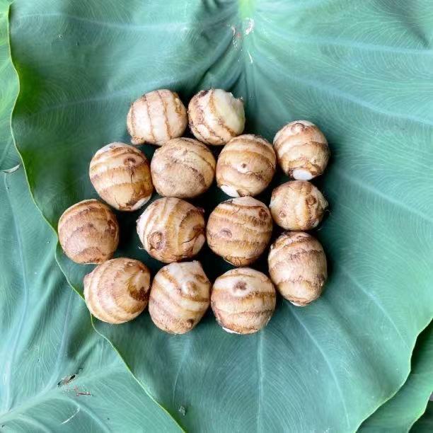 生鲜农场（奶油芋头）