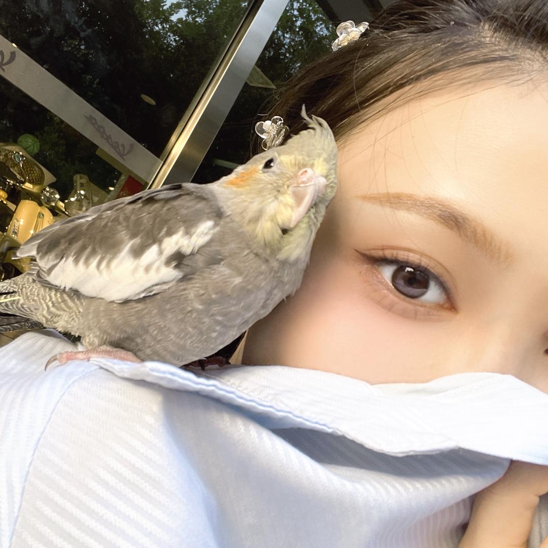 糖蒜的蒜