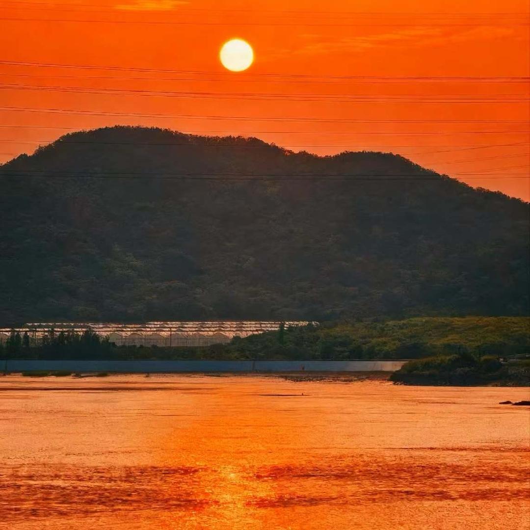 不ꦿꦁ再᭄期待࿐