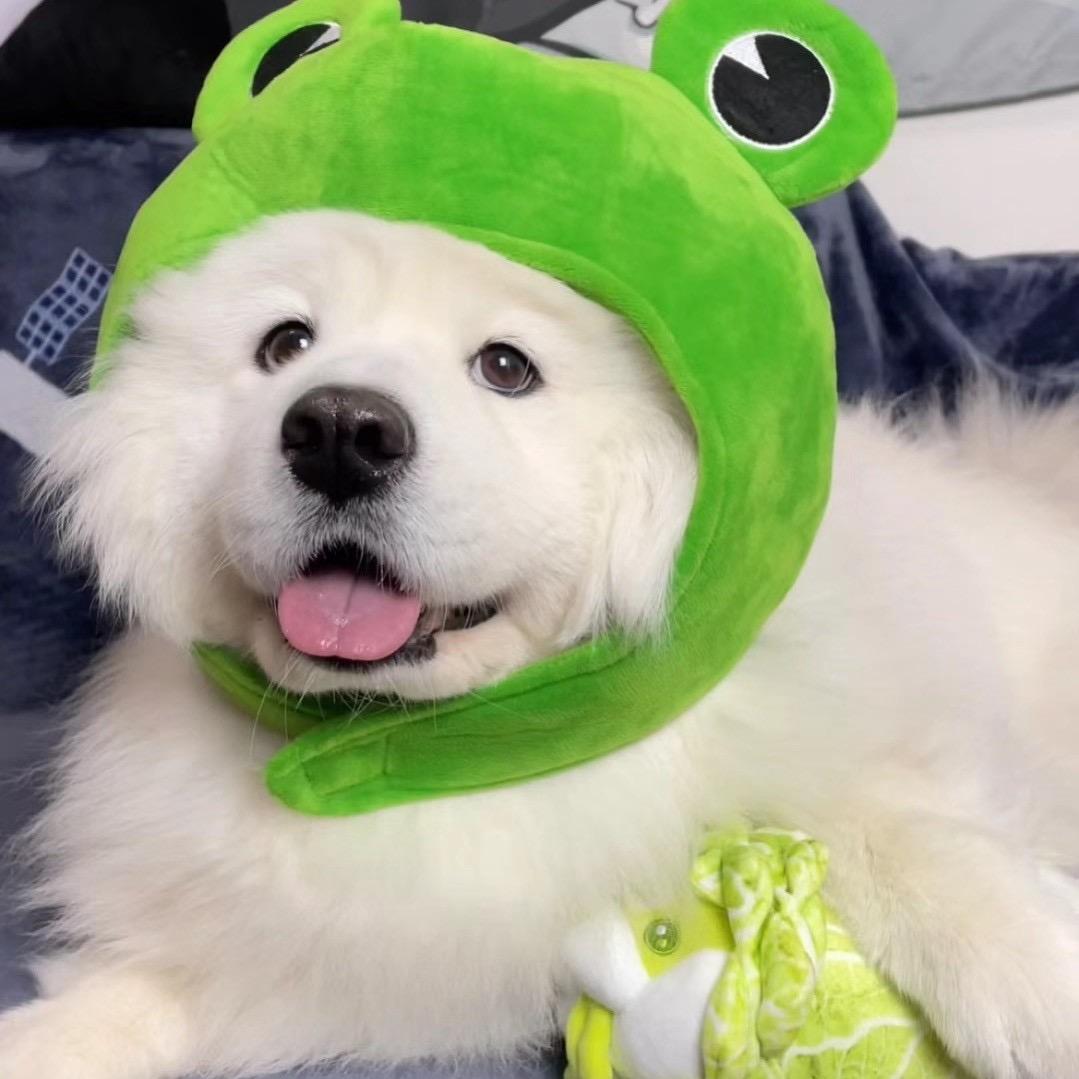自助游