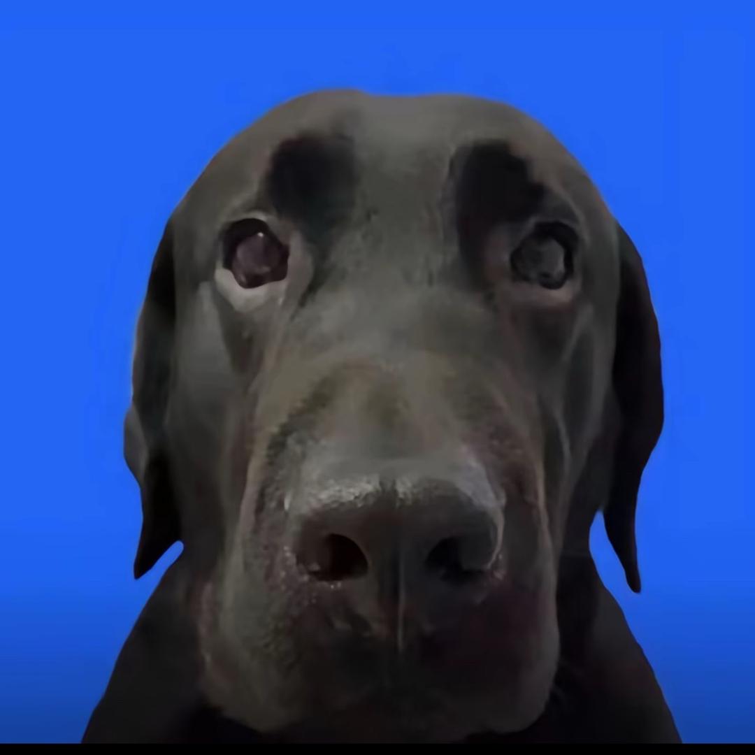 OOOO