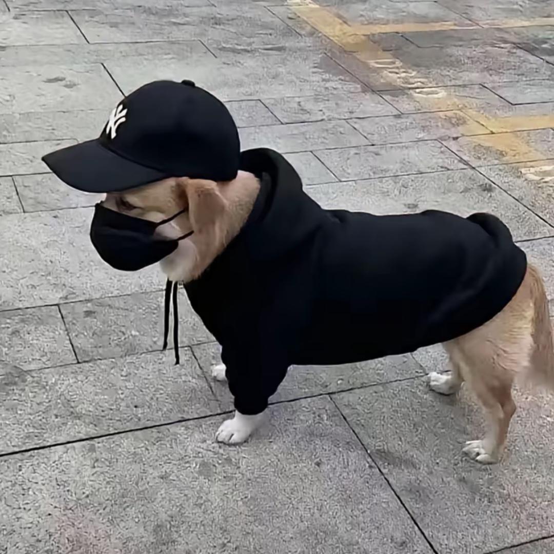 小小昂下士