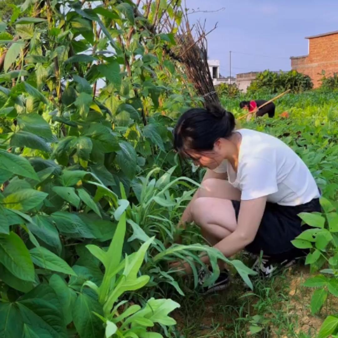 小芳来了