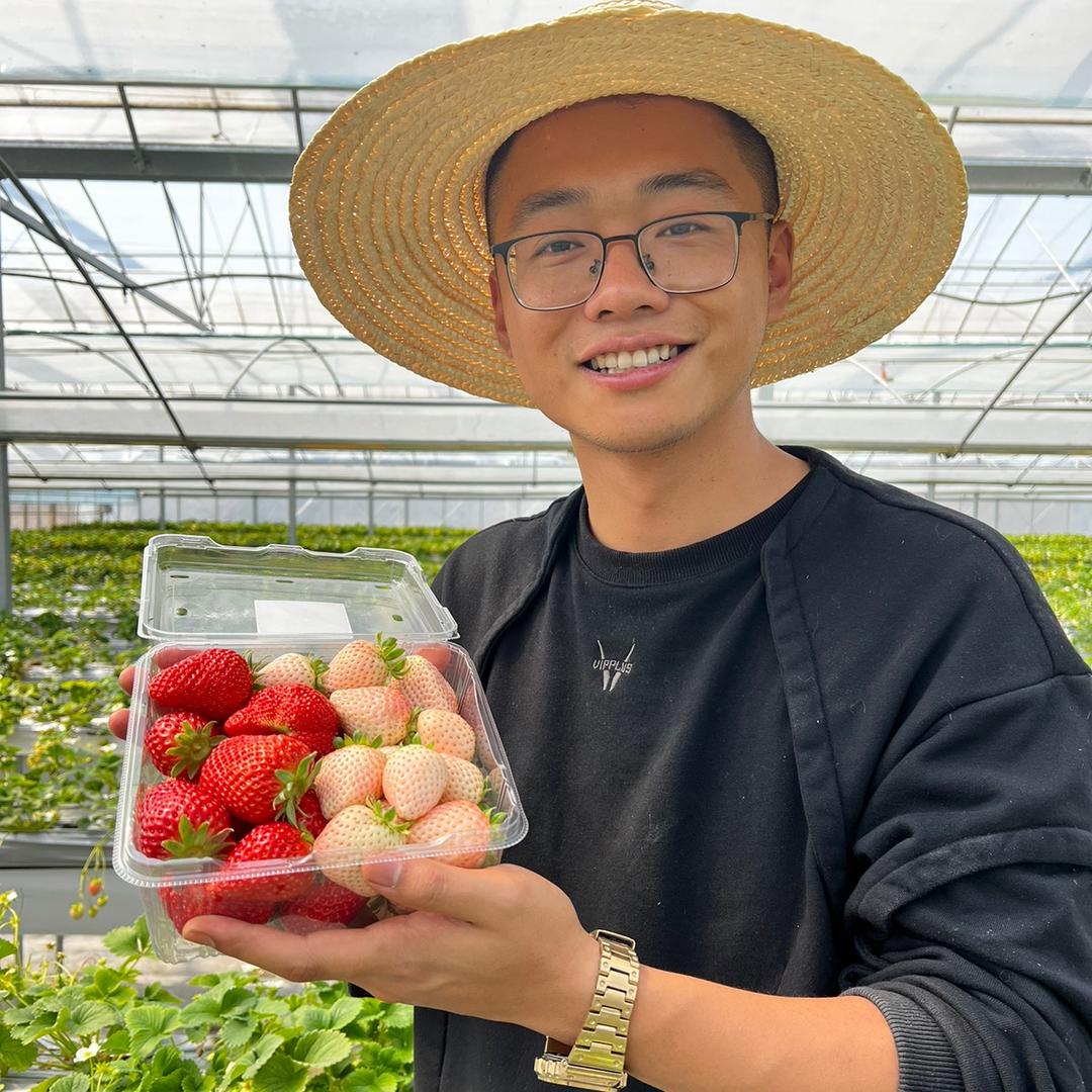 农场棚主