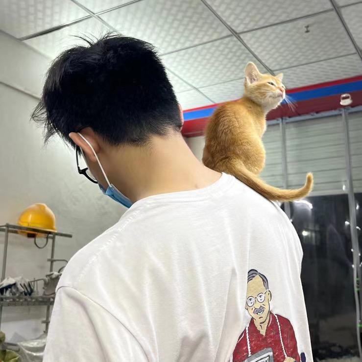 天道愁情