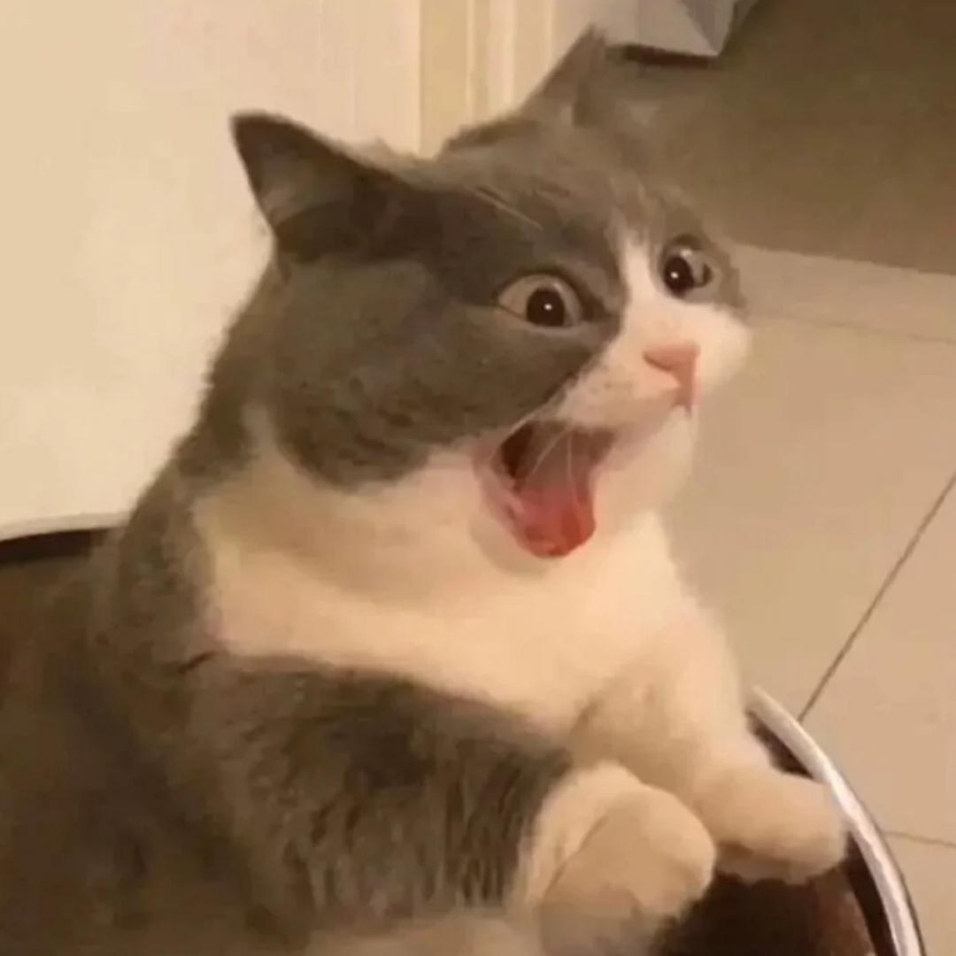 阿梦.