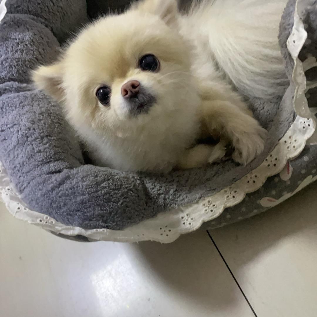 酸奶