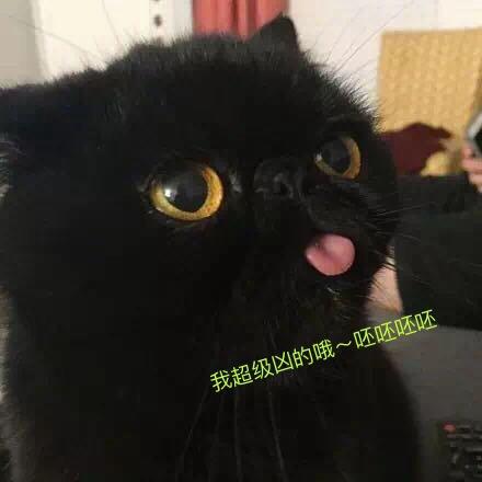 多多啊