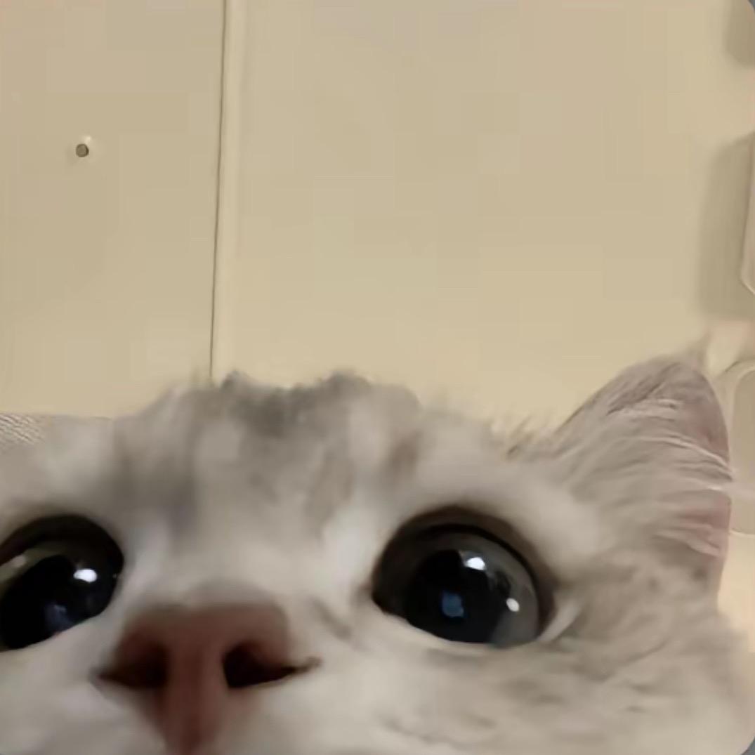 . ⠀⠀