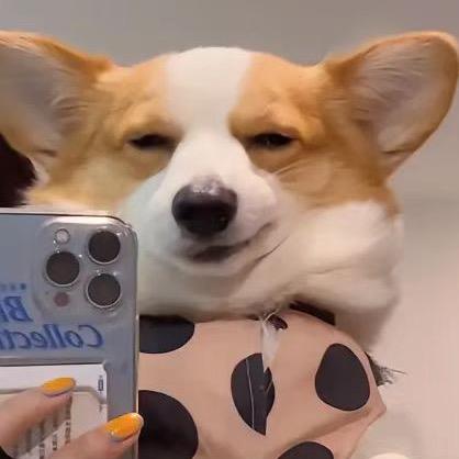 H.