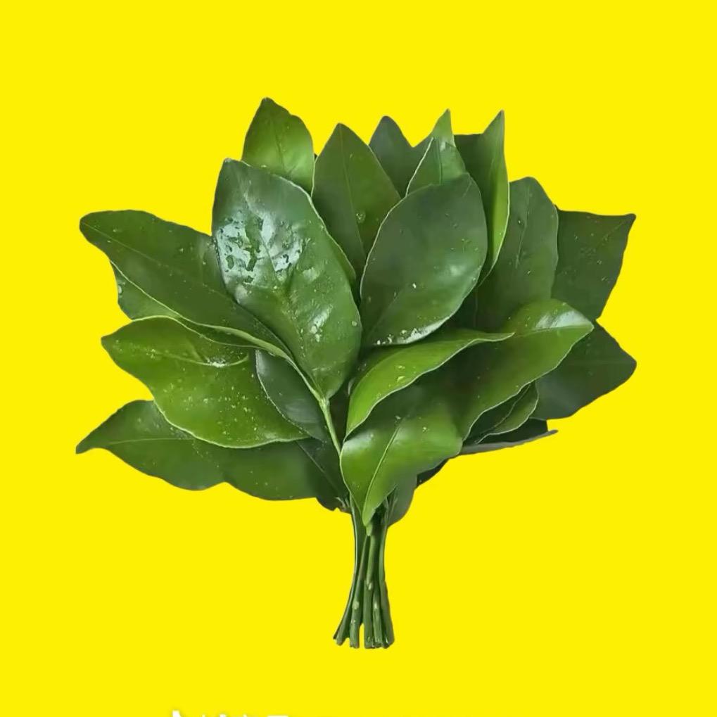 翻斗花园胡英俊