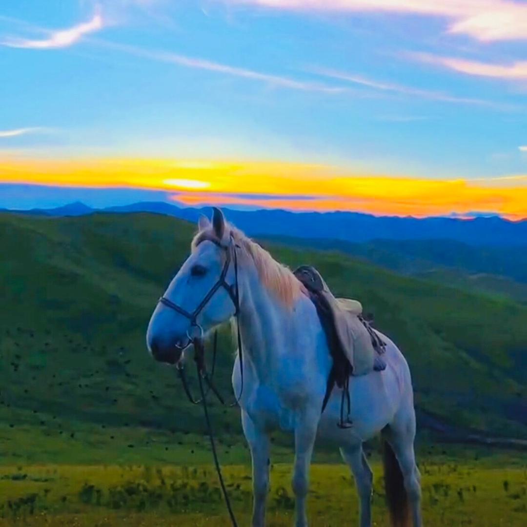 -西绕扎巴 ✅