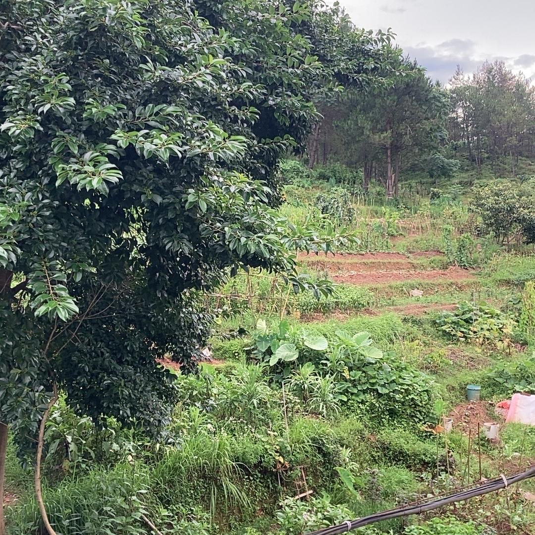 州洽余徐鑫圆臻