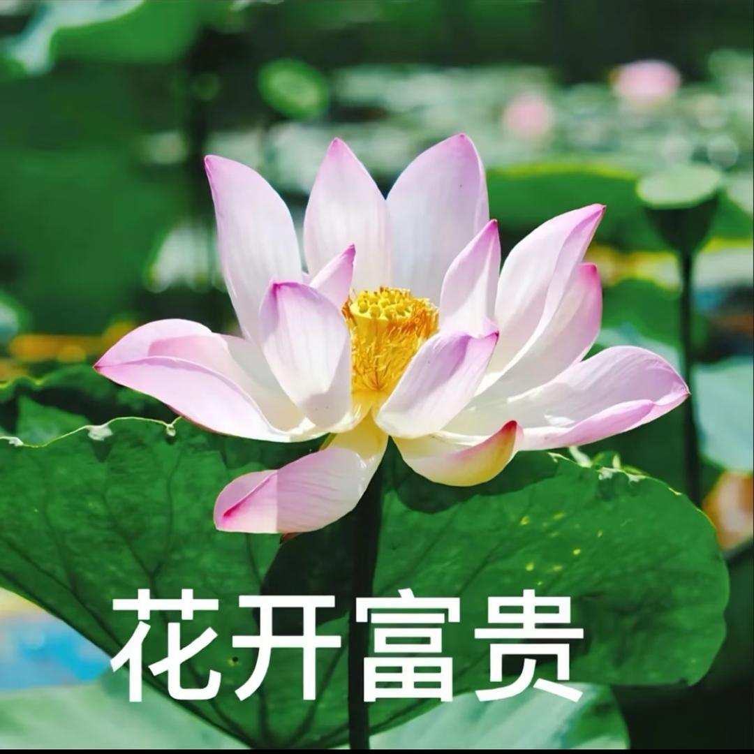 别管我啦