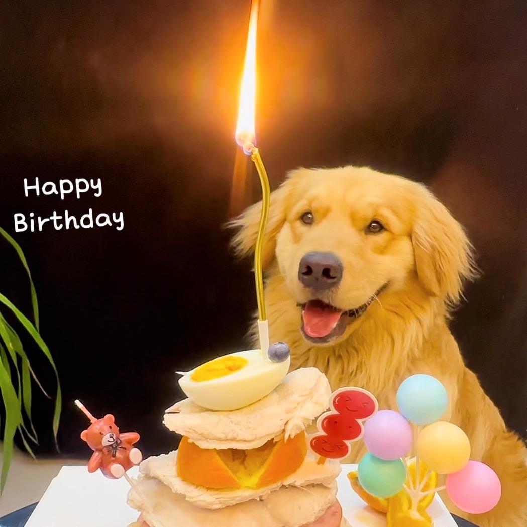 206花室 气球派对