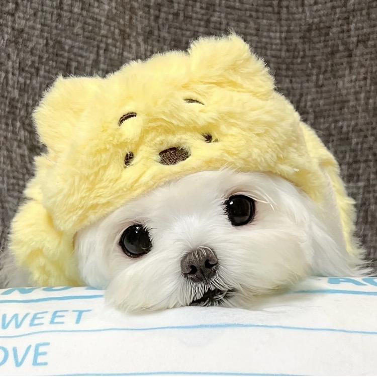 小杨周