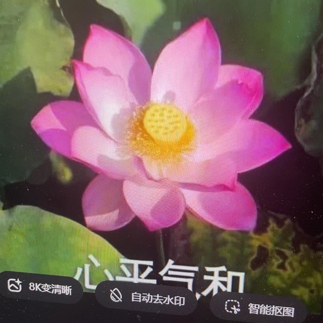 九阳多功能智能压力锅