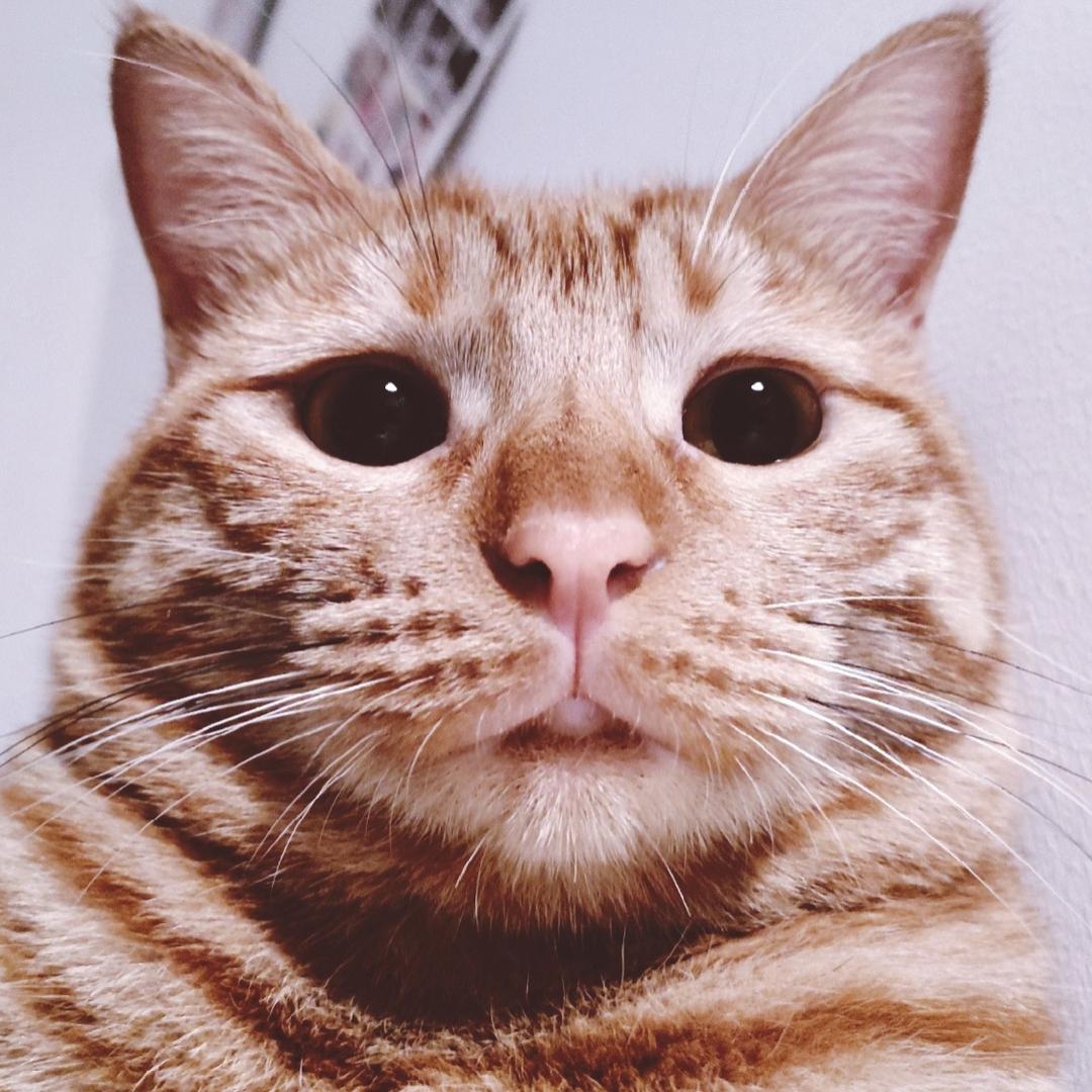 橘大运-Kkon Studio.