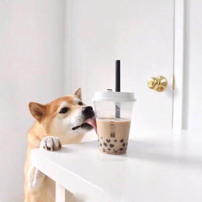 泡面