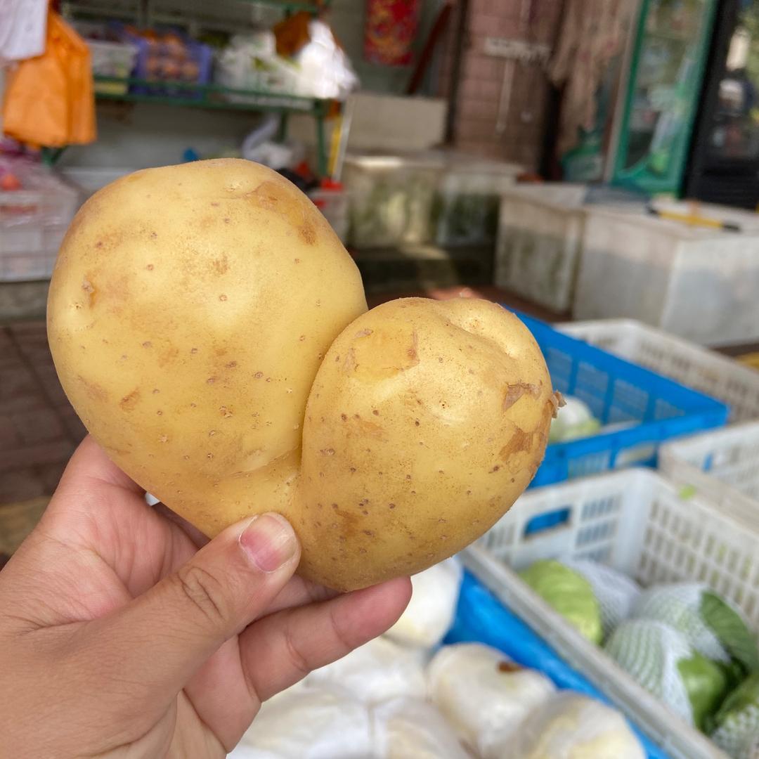 🍀🐷言之卓卓🐯🍀🇨🇳