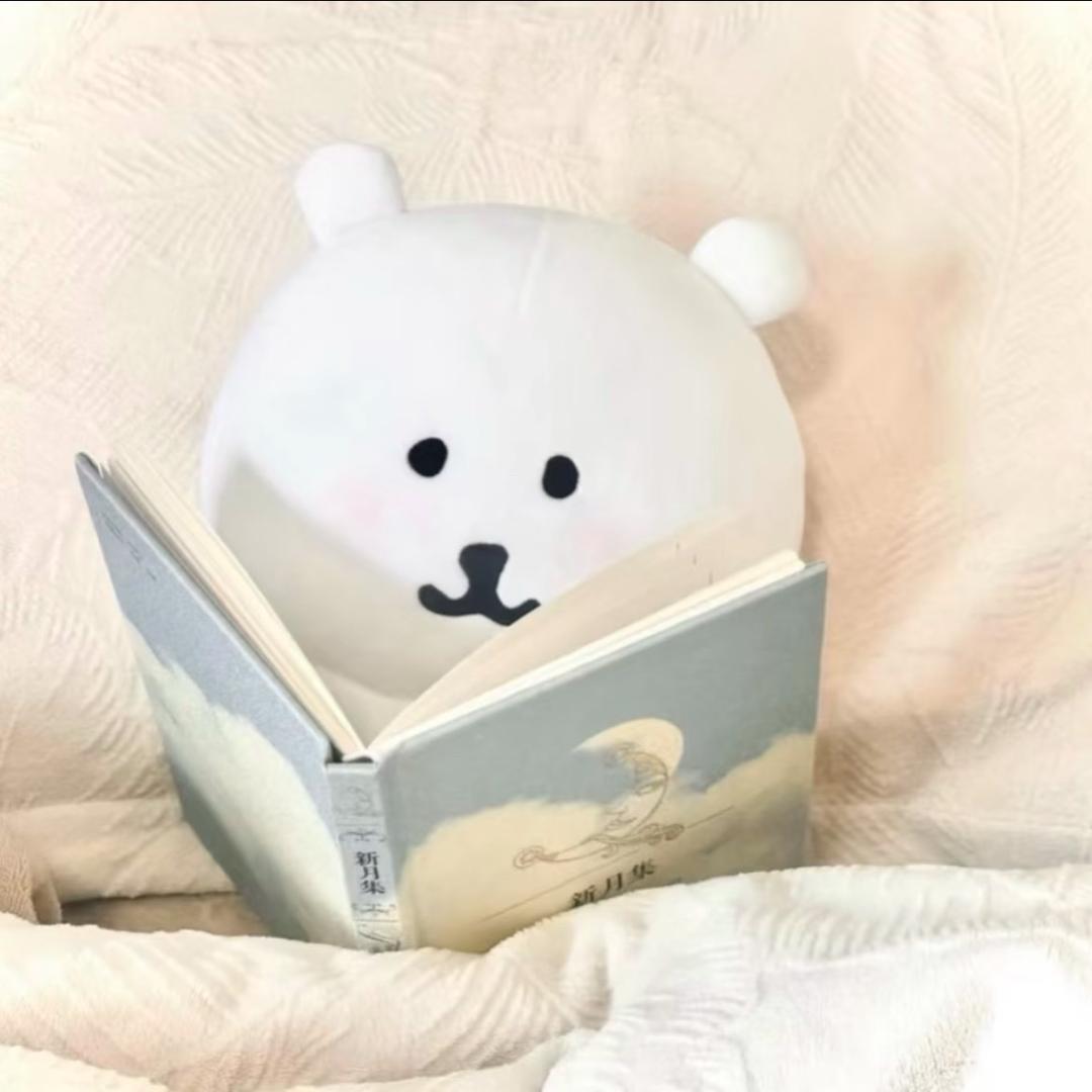 呆