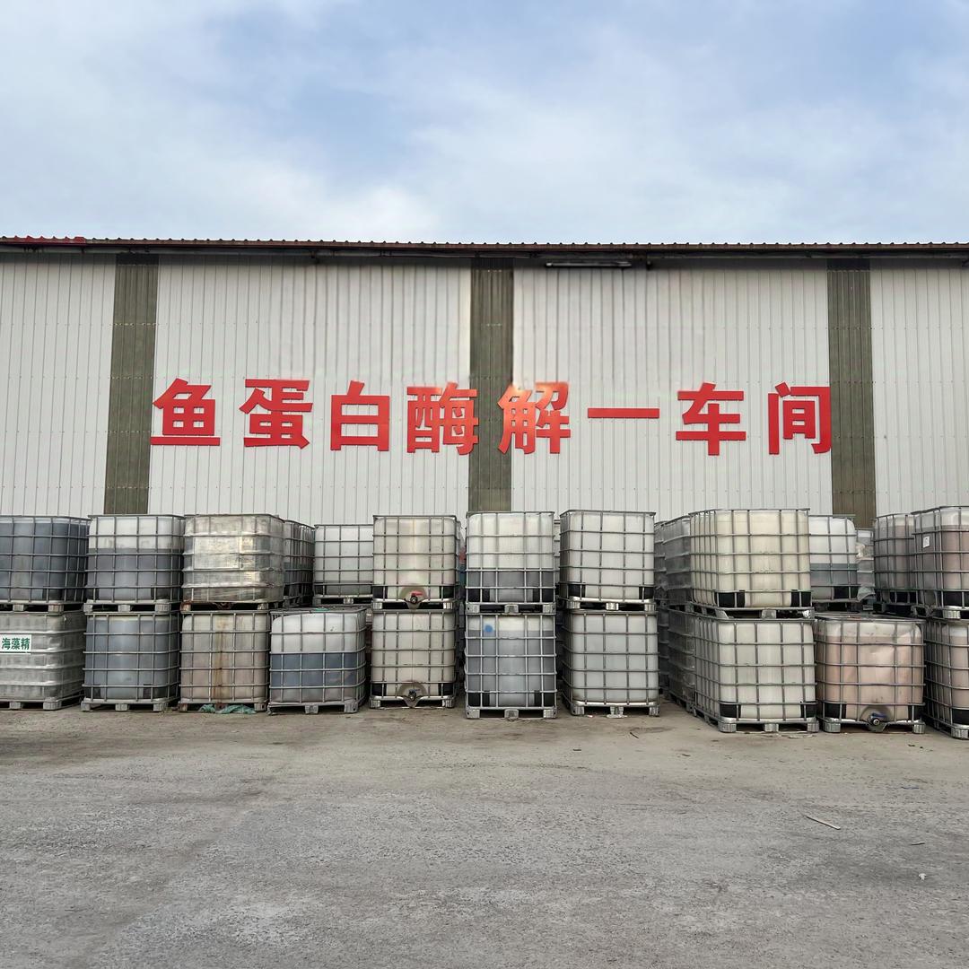 家美鱼蛋白源头工厂