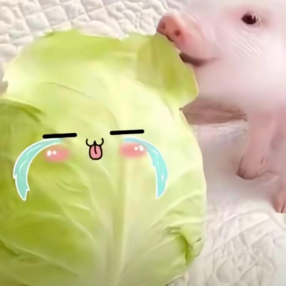 圆墩墩头像