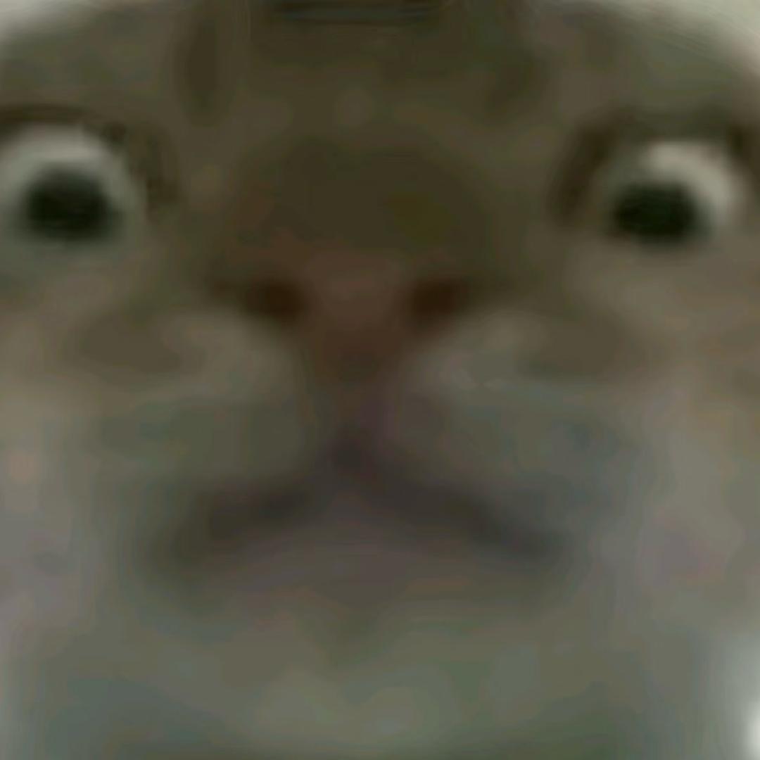 宏兴电竞（三角洲行动）