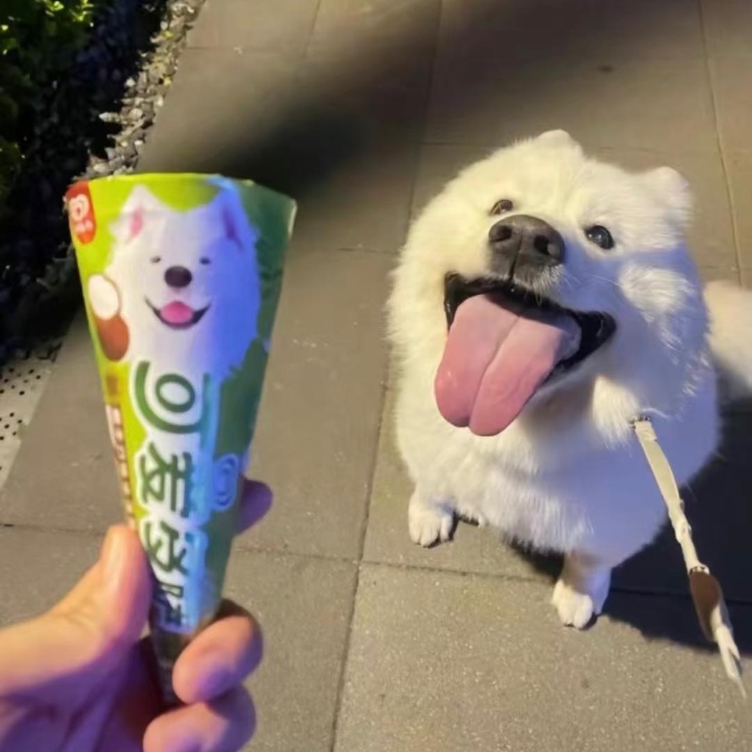 小宇背心