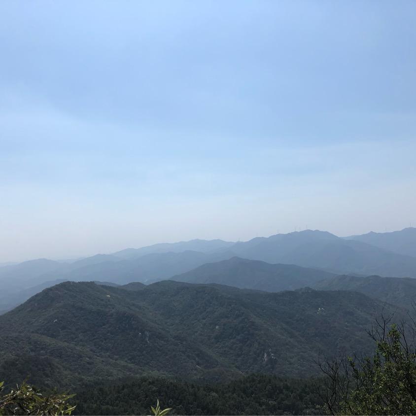 美衣坊衣橱