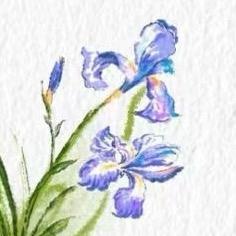 生吃大蟑螂