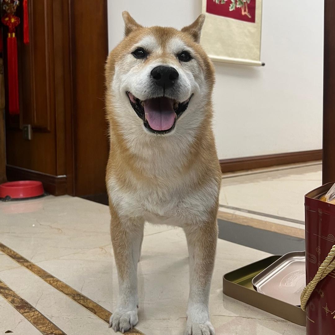 唱唱追雨纪头像